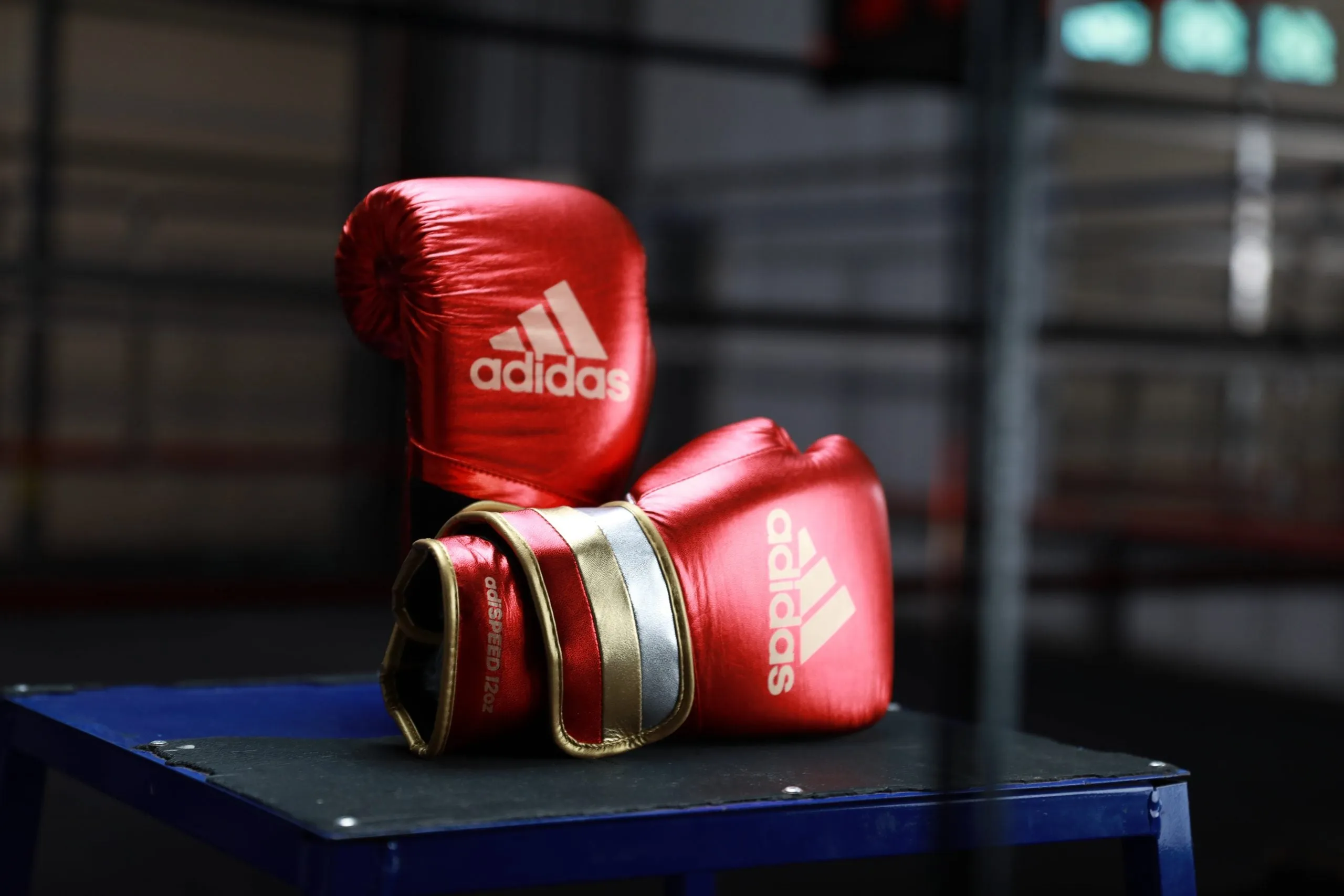 adidas Adi-Speed 501 Pro Boxing and Kickboxing Gloves for Women Men