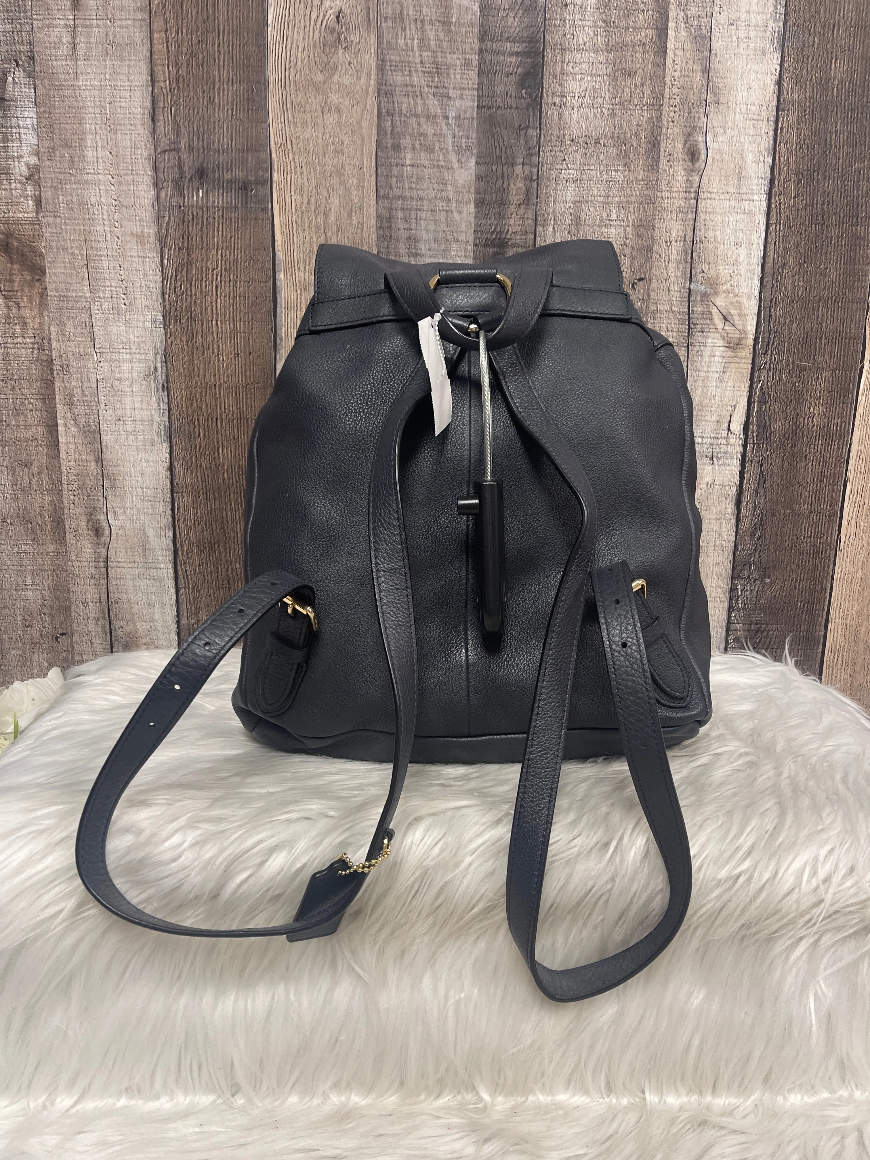 Backpack Designer By Coach  Size: Medium