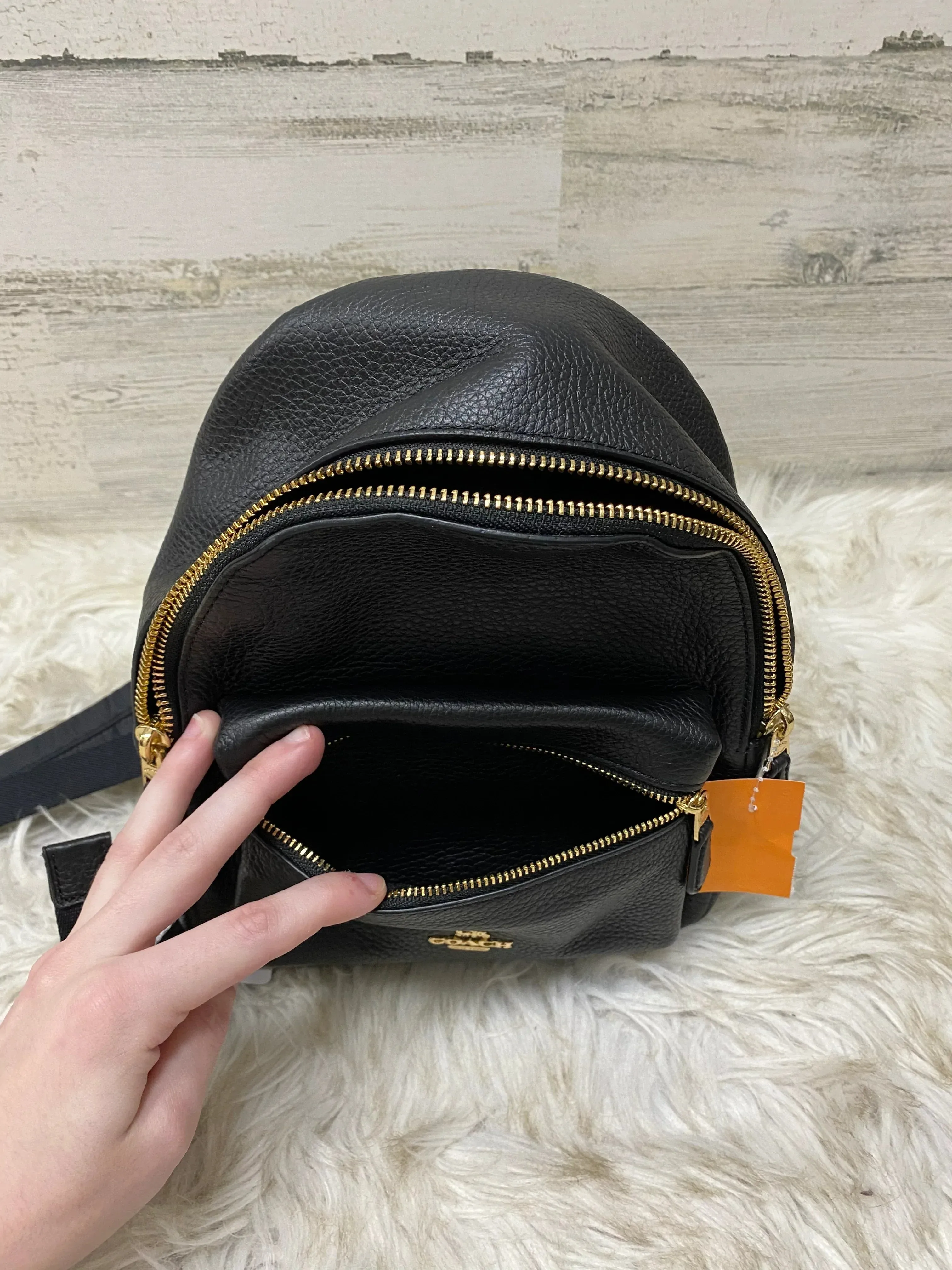 Backpack Designer By Coach  Size: Small