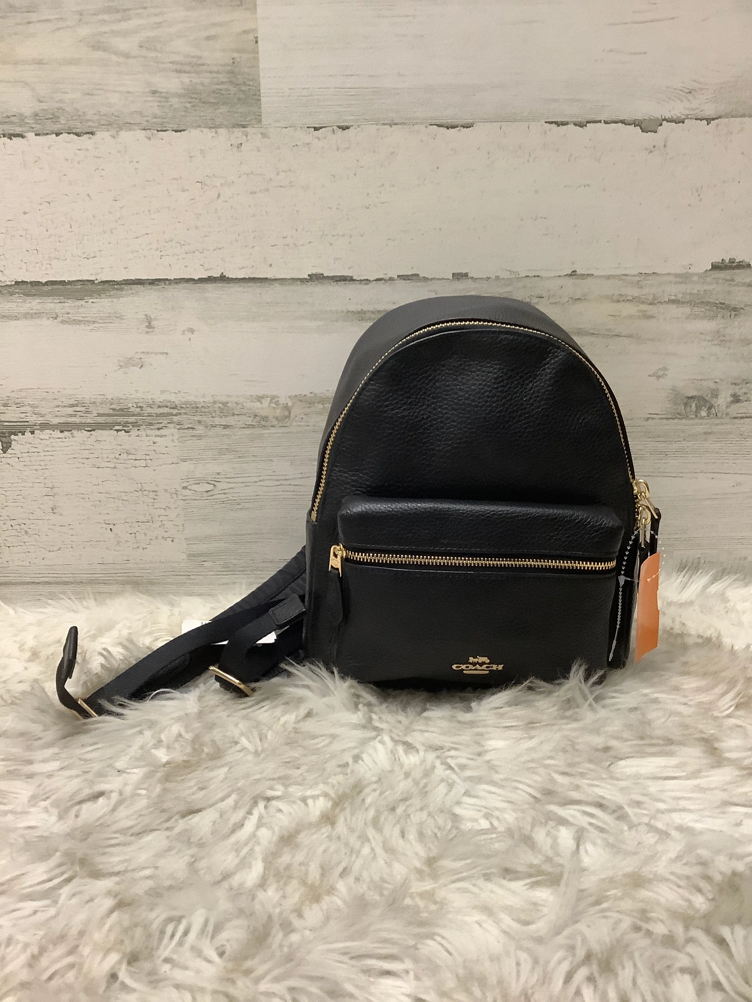 Backpack Designer By Coach  Size: Small