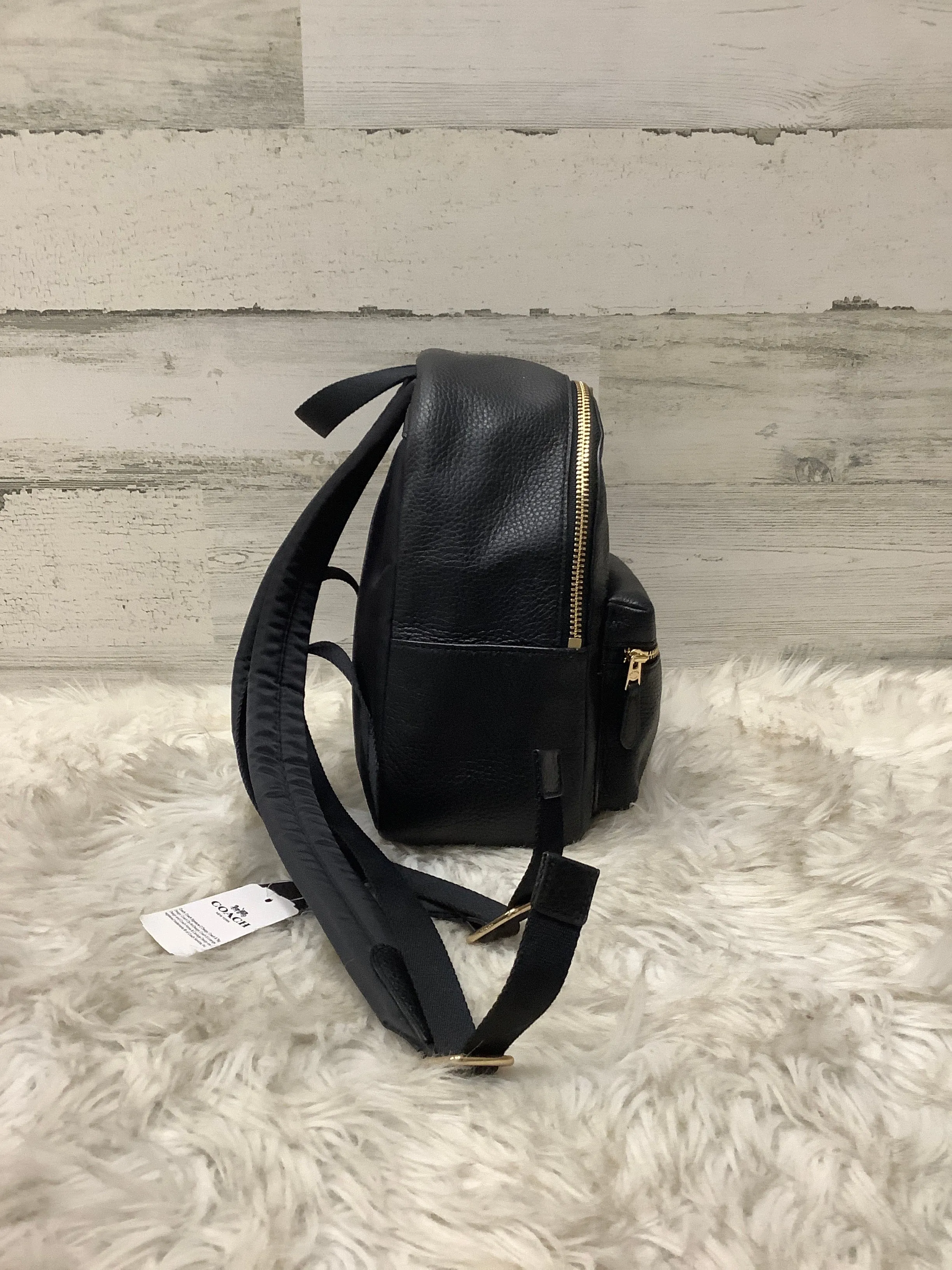 Backpack Designer By Coach  Size: Small