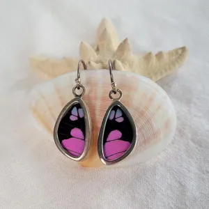 Beautiful Real Butterfly Wings and Sterling Silver Earrings