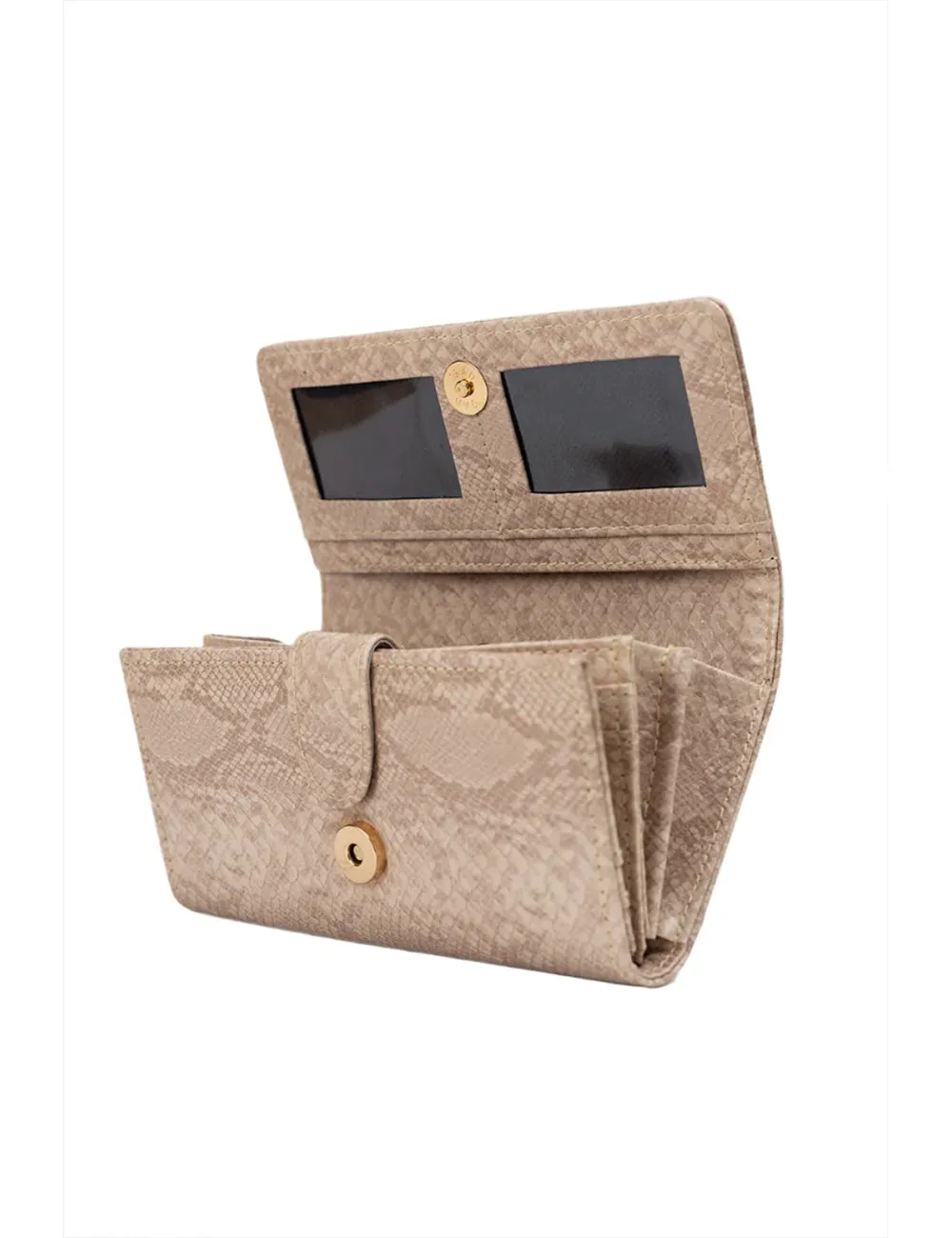 Desert Sand Python Wallet