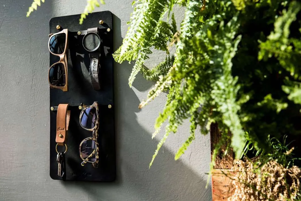 Eyewear Organizer